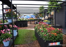 De ingang van Hilverdakooij / HilverdaFlorist.